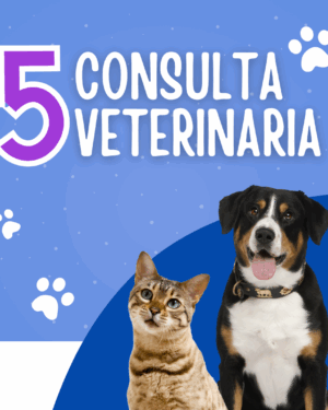 Consulta veterinaria