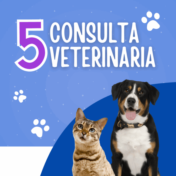 Consulta veterinaria