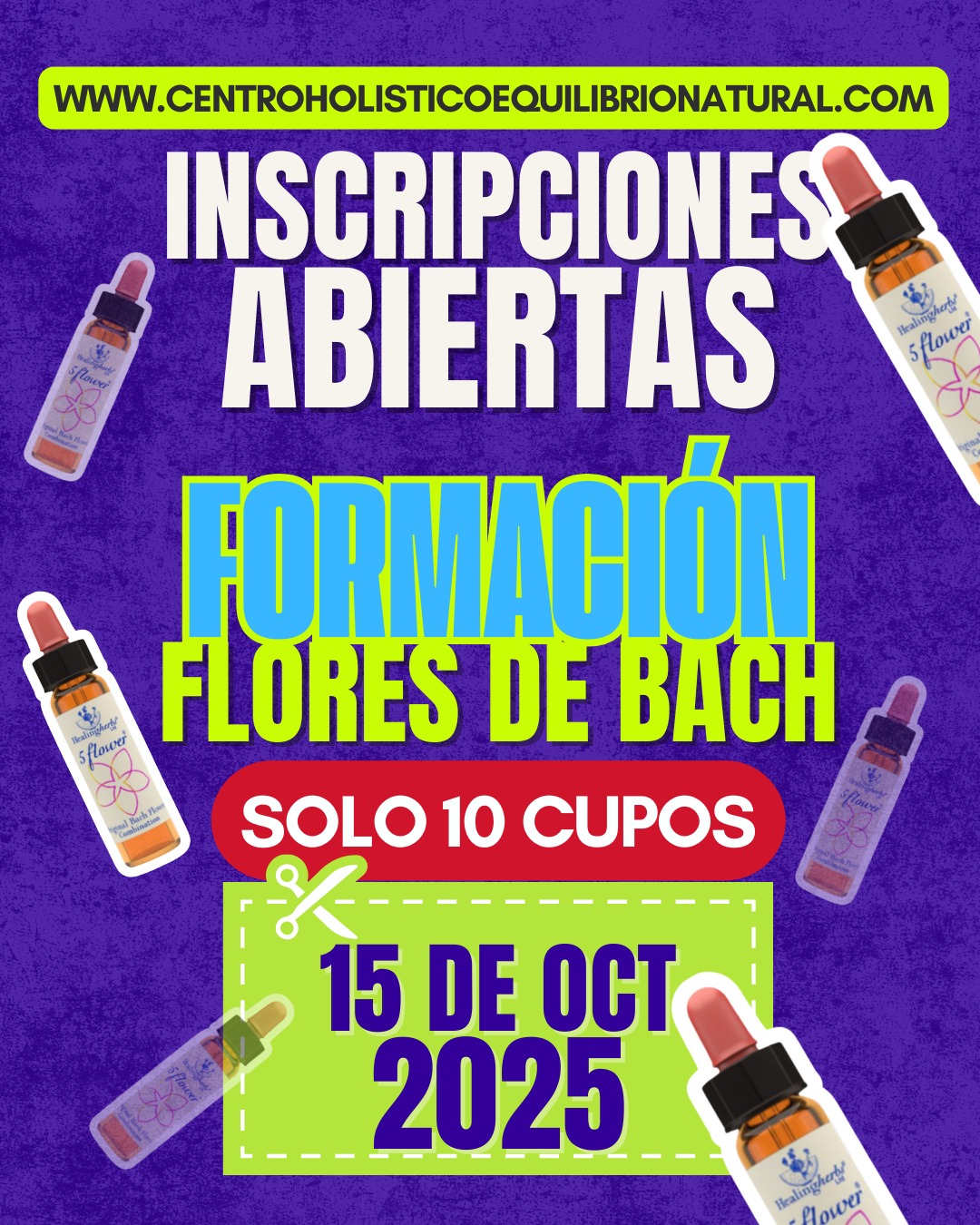 FORMACIÓN FLORES BACH | 15 PROMOCIÓN | 15 OCTUBRE DE 2025 - Imagen 2