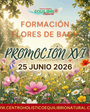 FORMACIÓN FLORES BACH | 16 PROMOCIÓN | 25 JUNIO 2026